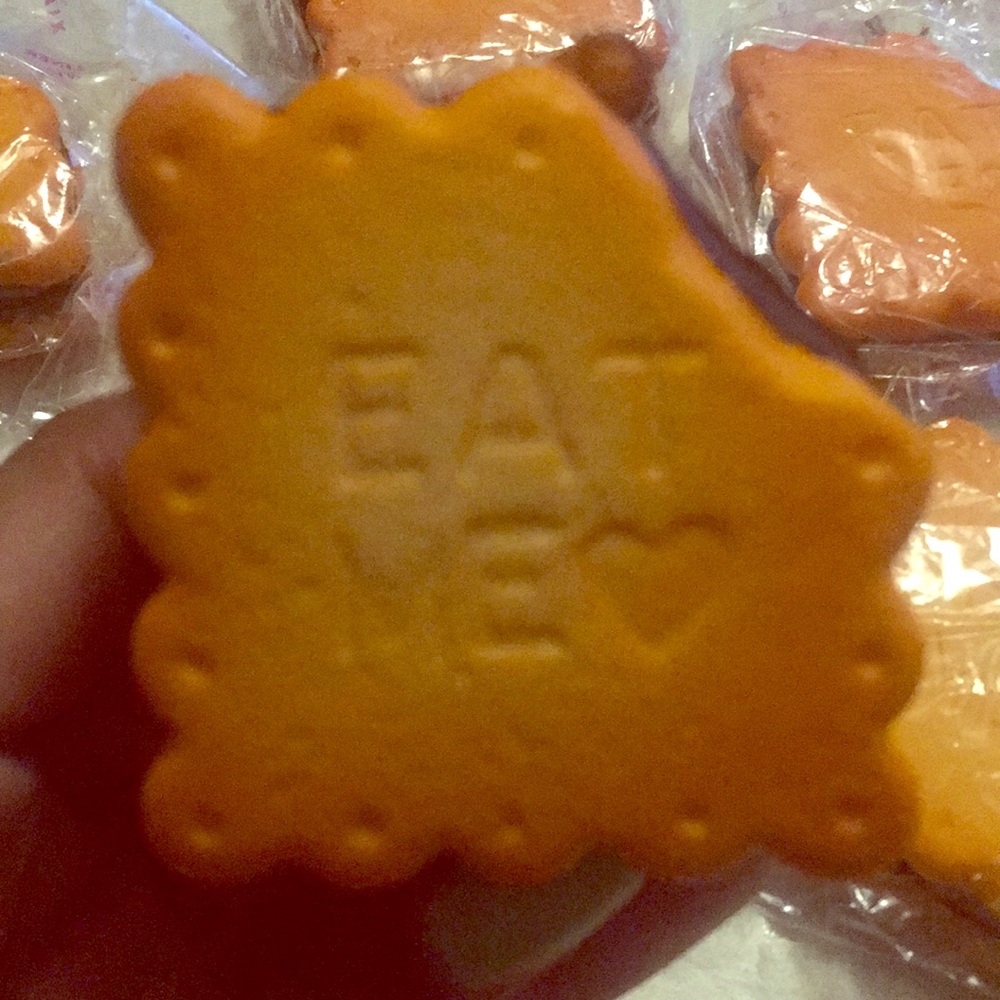 Eat me chocolate cookie squishy
